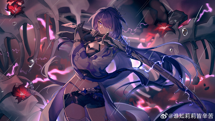 Acheron (Honkai: Star Rail) Rule 34 Image