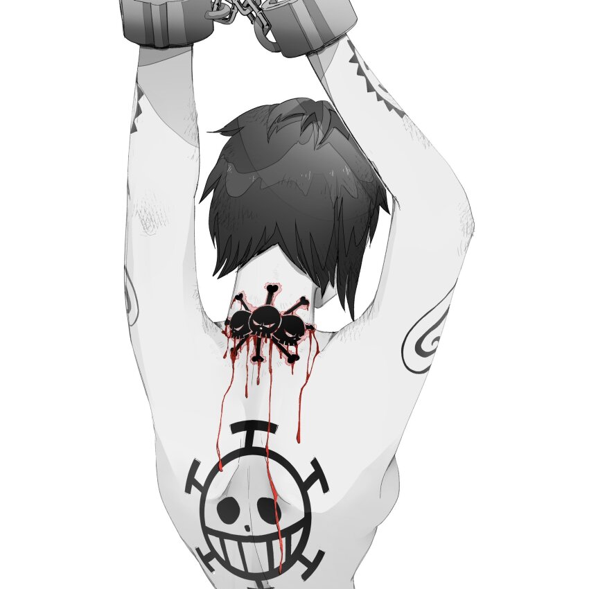 Trafalgar Law (One Piece) Rule 34 Image