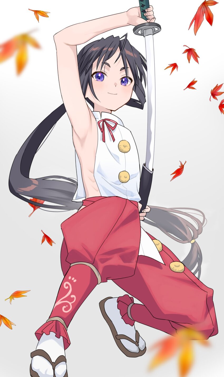 Houjou Tokiyuki (Nige Jouzu No Wakagimi) Rule 34 Image
