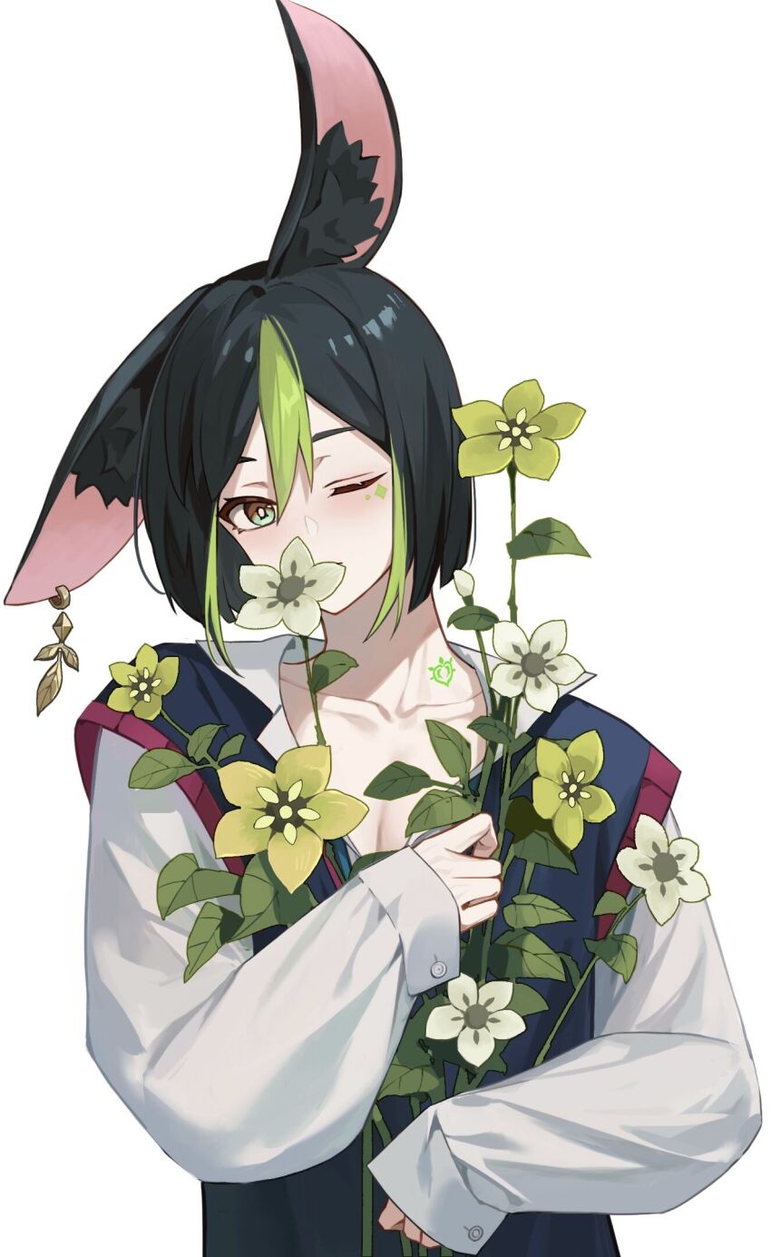 Tighnari (Genshin Impact) Rule 34 Image