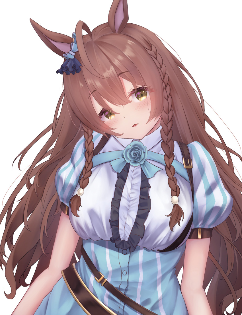 Mejiro Bright (Umamusume) Rule 34 Image