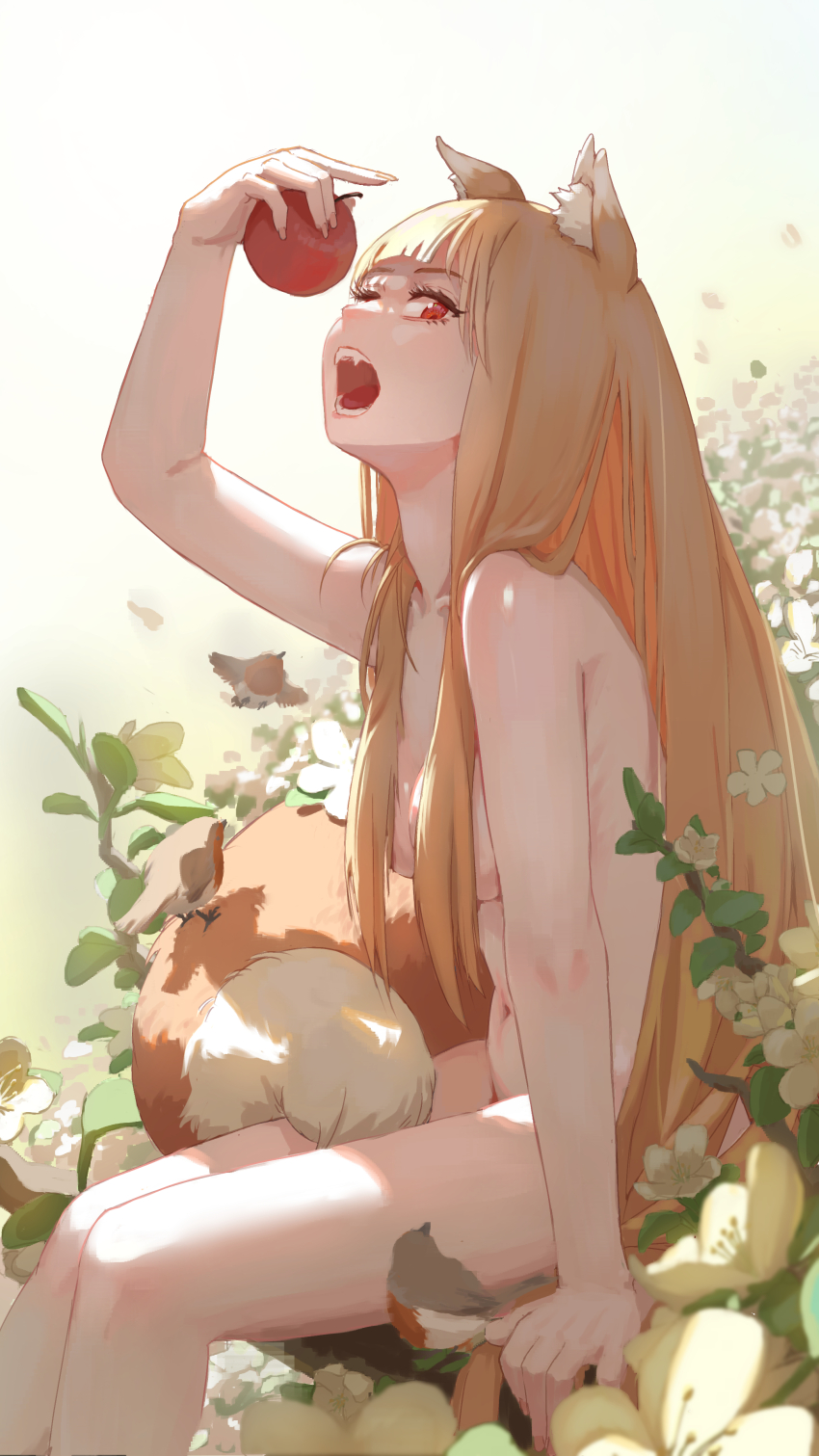 Holo (Spice And Wolf) Rule 34 Image