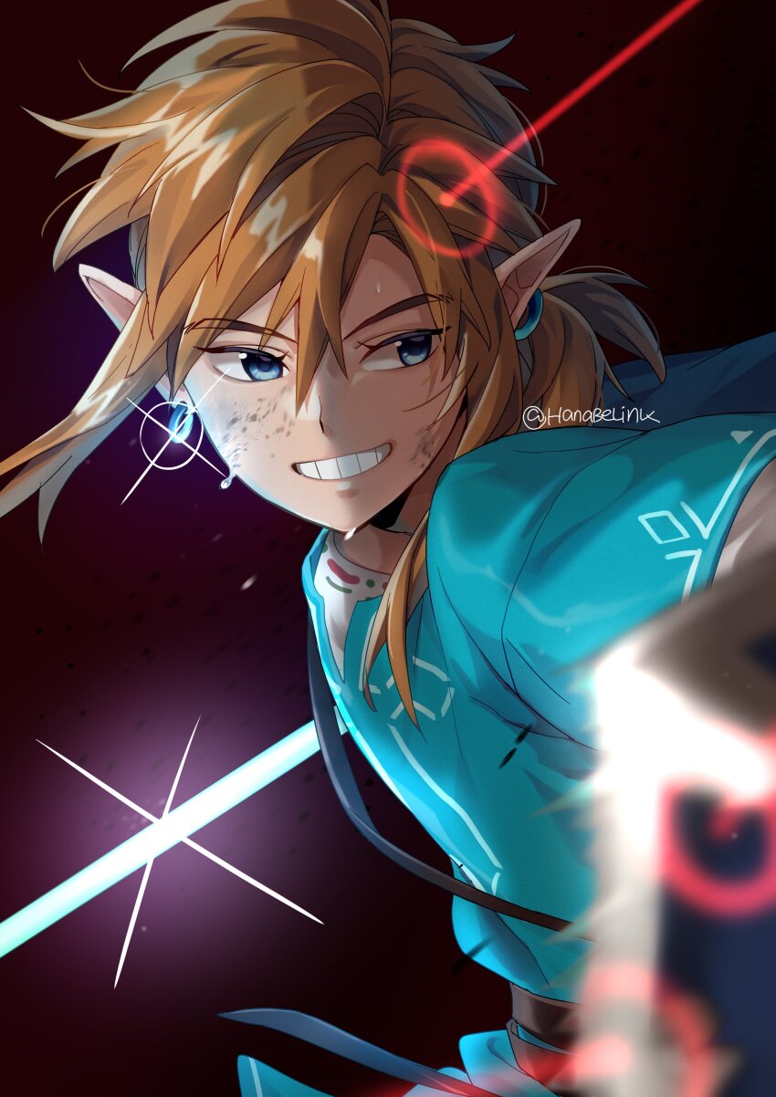 Link (Nintendo) Rule 34 Image