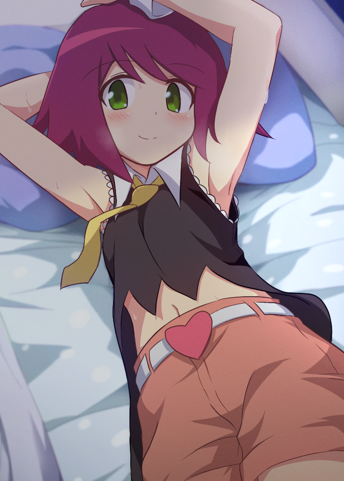 Mega Man (Series) Rule 34 Image