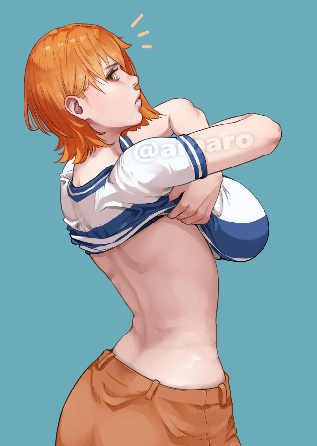 Nami (One Piece) Rule 34 Image