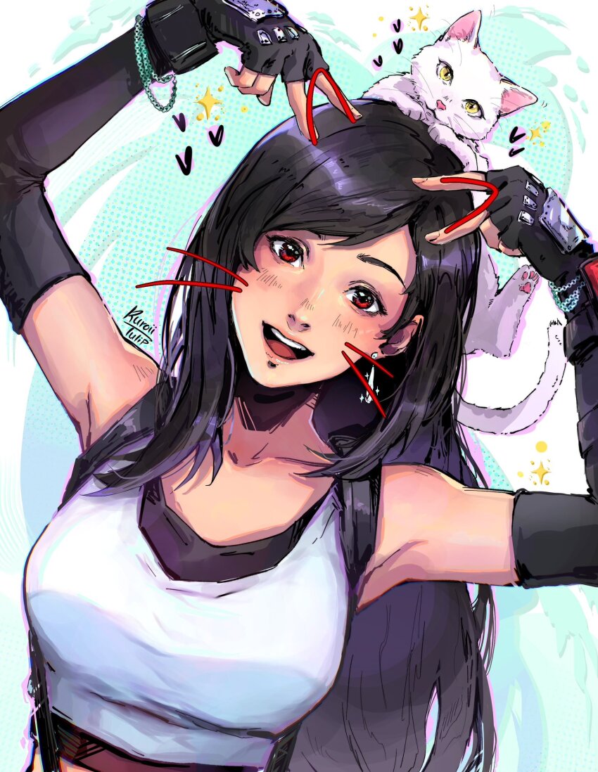 Tifa Lockhart (Final Fantasy) Rule 34 Image