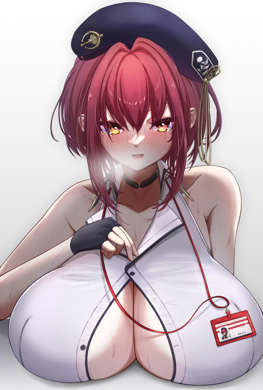 Houshou Marine (Hololive) Rule 34 Image