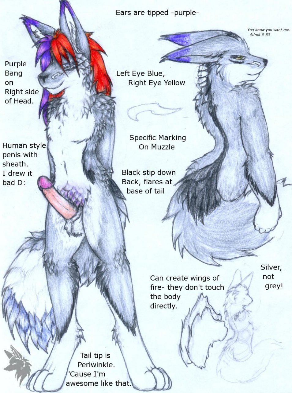 Anthro Rule 34 Image