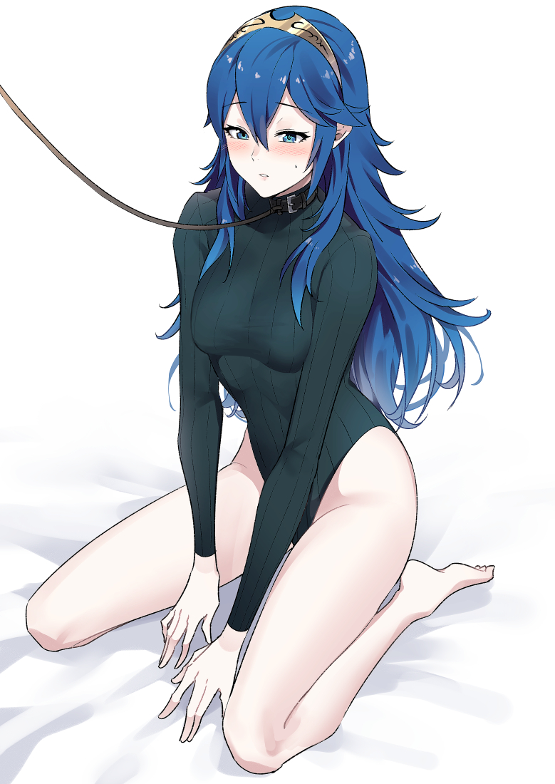 Lucina (Fire Emblem) Rule 34 Image