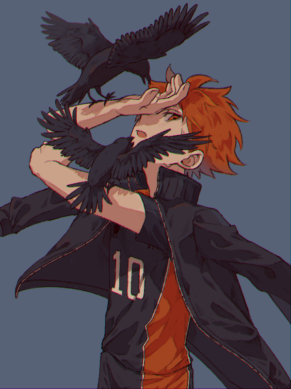 Hinata Shouyou (Haikyuu!!) Rule 34 Image