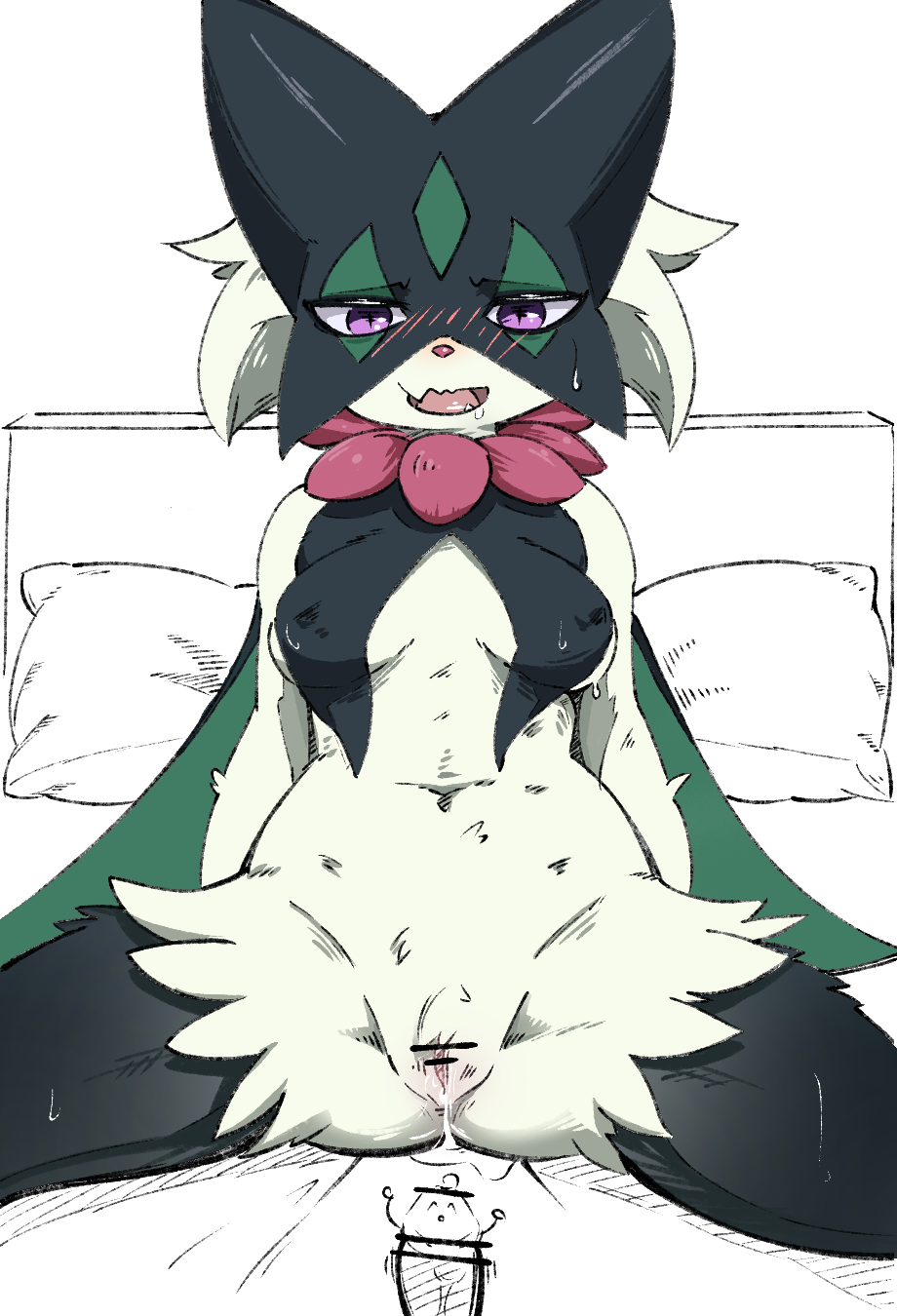 Meowscarada (Nintendo) Rule 34 Image