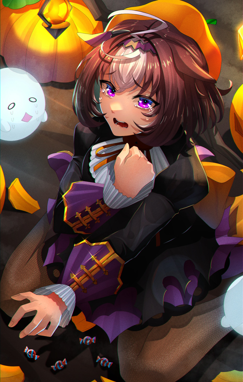 Meisho Doto (Umamusume) Rule 34 Image