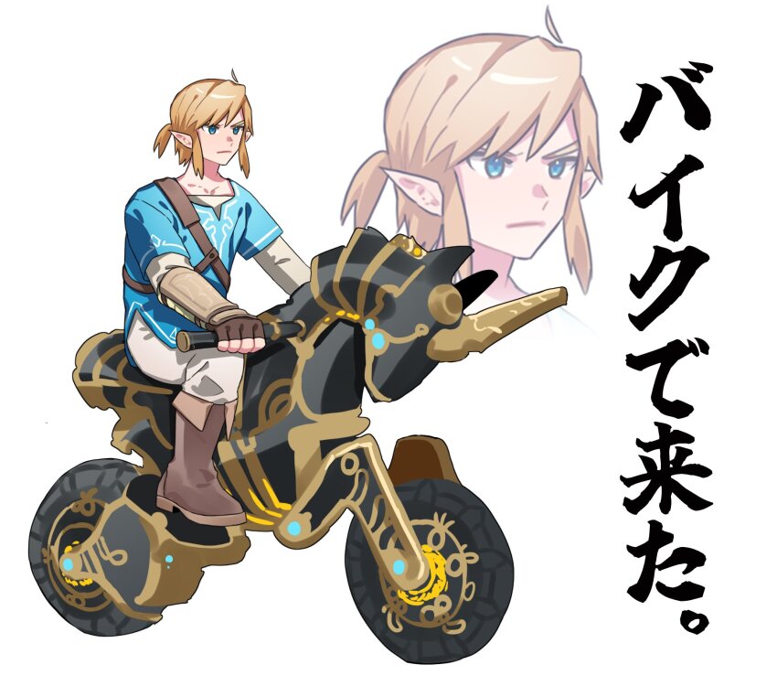 Link (Nintendo) Rule 34 Image