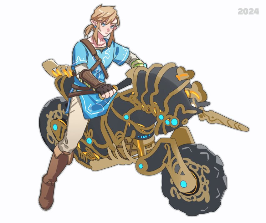 Link (Nintendo) Rule 34 Image