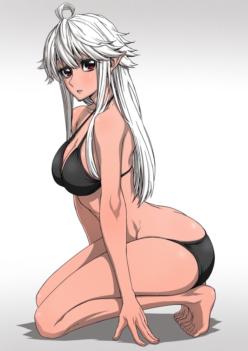 Reanette Elfelt (Shinmai Ossan Bokensha) Rule 34 Image