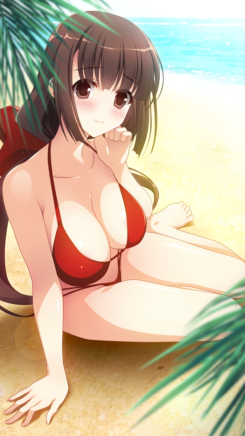 Phantom Breaker Rule 34 Image