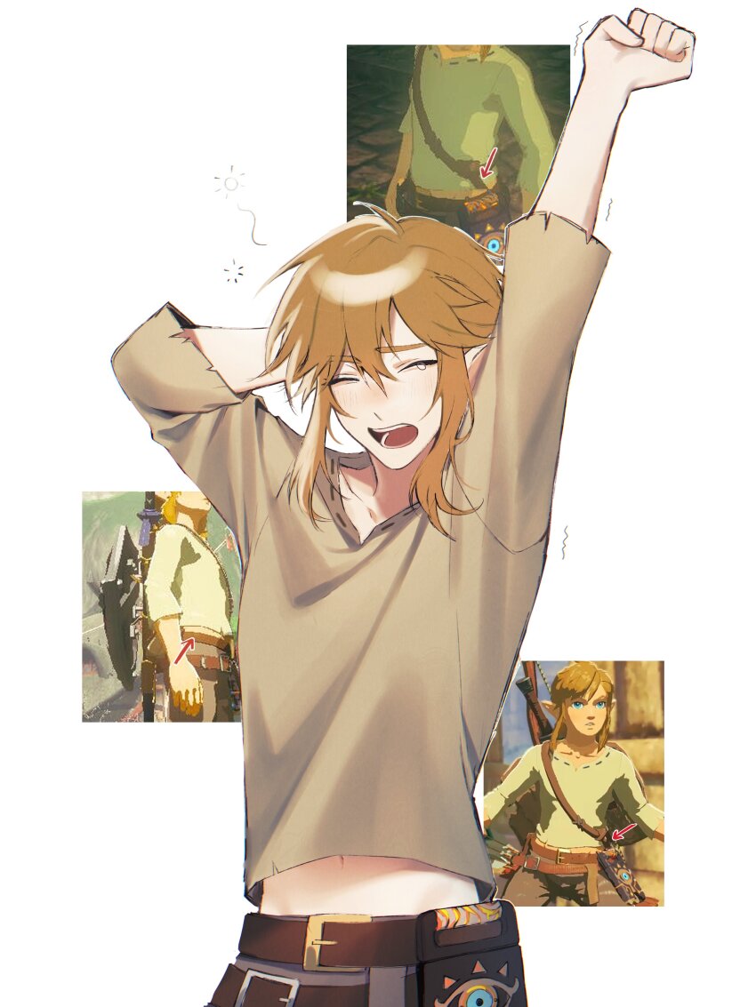 Link (Nintendo) Rule 34 Image