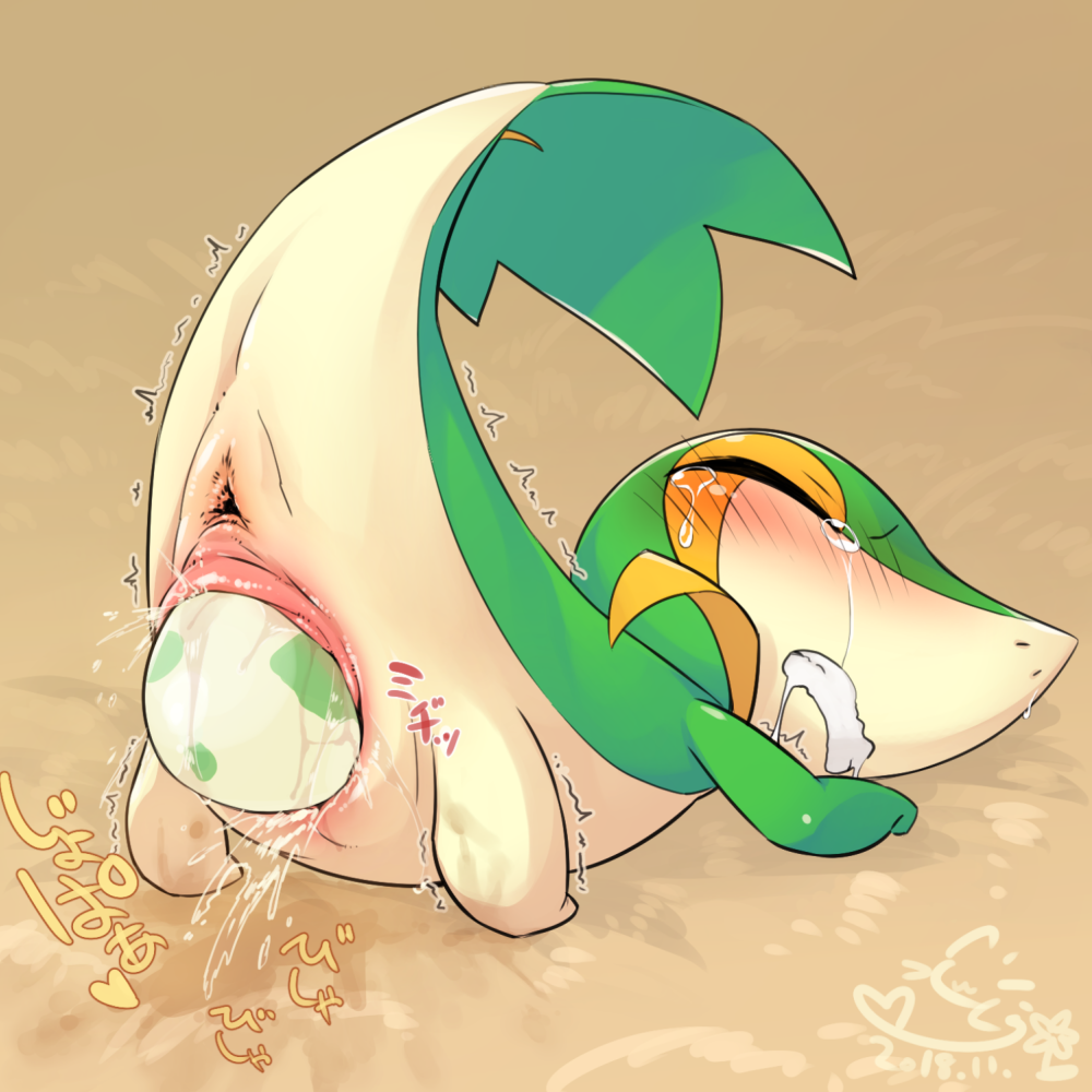 Gen 5 Pokemon (Nintendo) Rule 34 Image