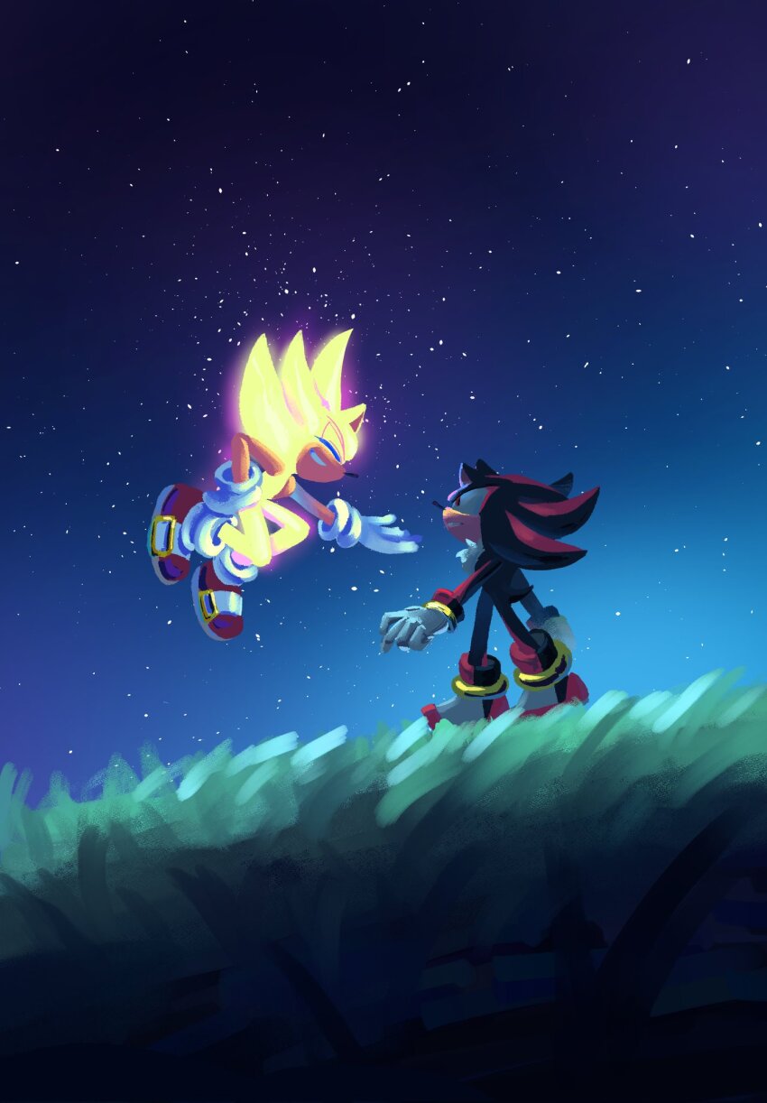 Shadow The Hedgehog (Sonic (Series)) Rule 34 Image