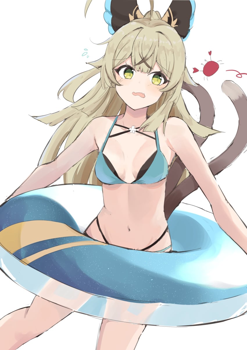 Kirara (Genshin Impact) Rule 34 Image