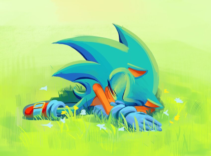 Sonic The Hedgehog (Sonic (Series)) Rule 34 Image