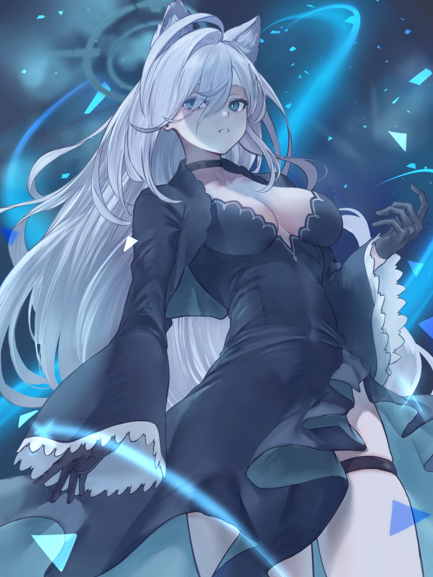 Shiroko Terror (Blue Archive) Rule 34 Image