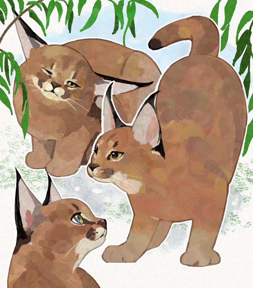 Original Rule 34 Image
