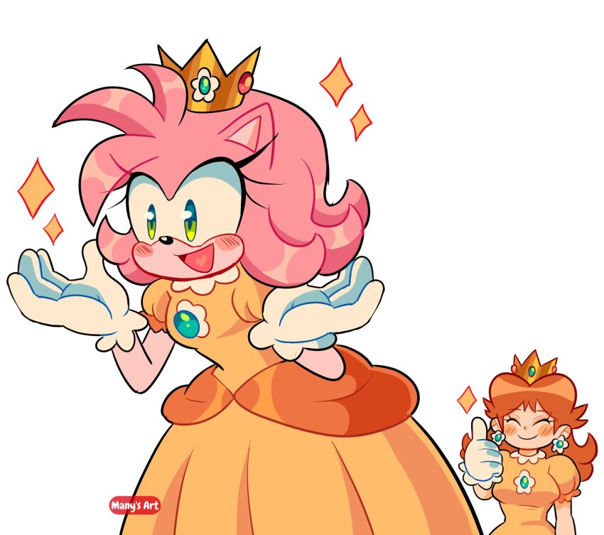 Amy Rose (Mario (Series)) Rule 34 Image