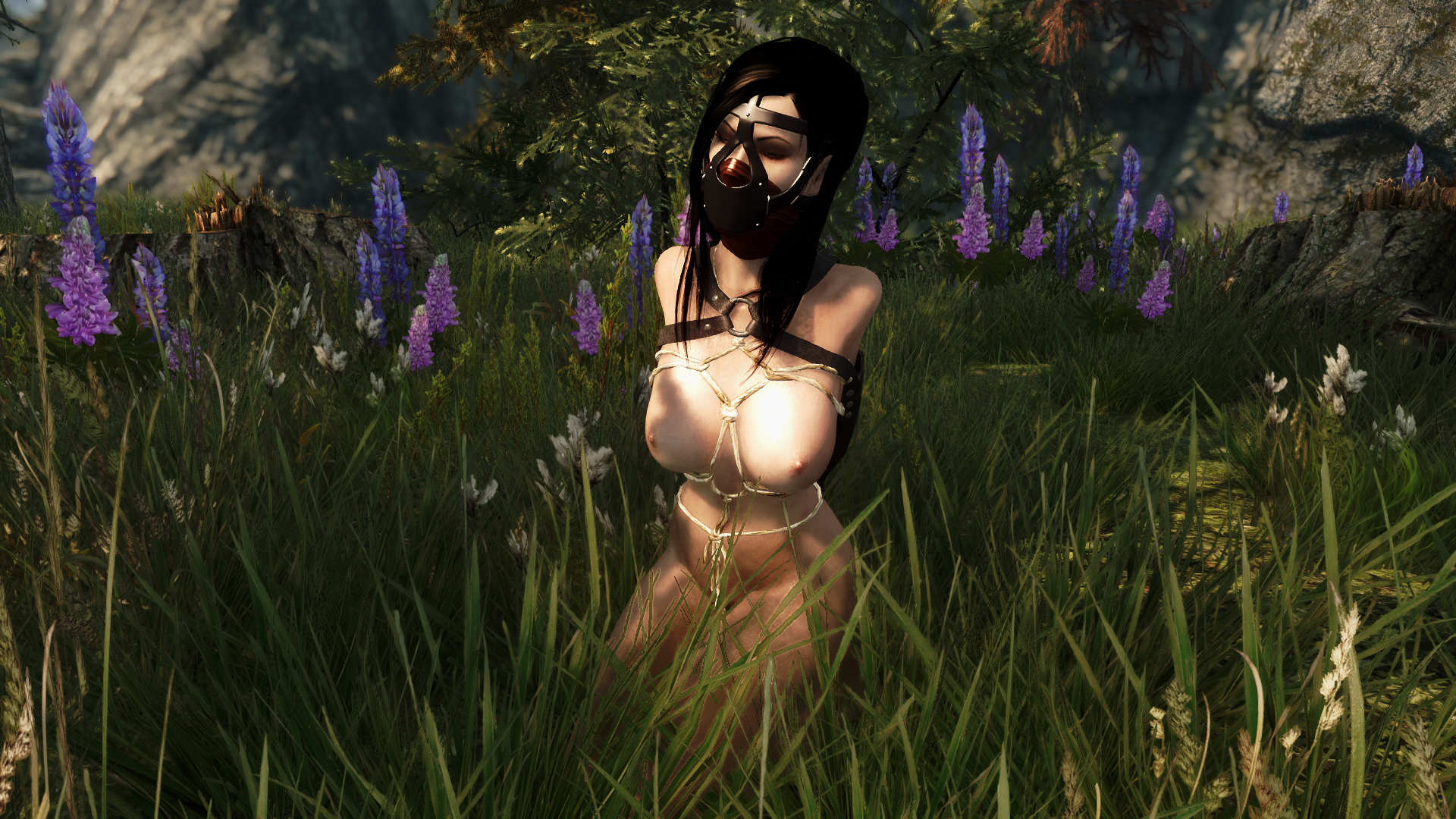Skyrim Rule 34 Image