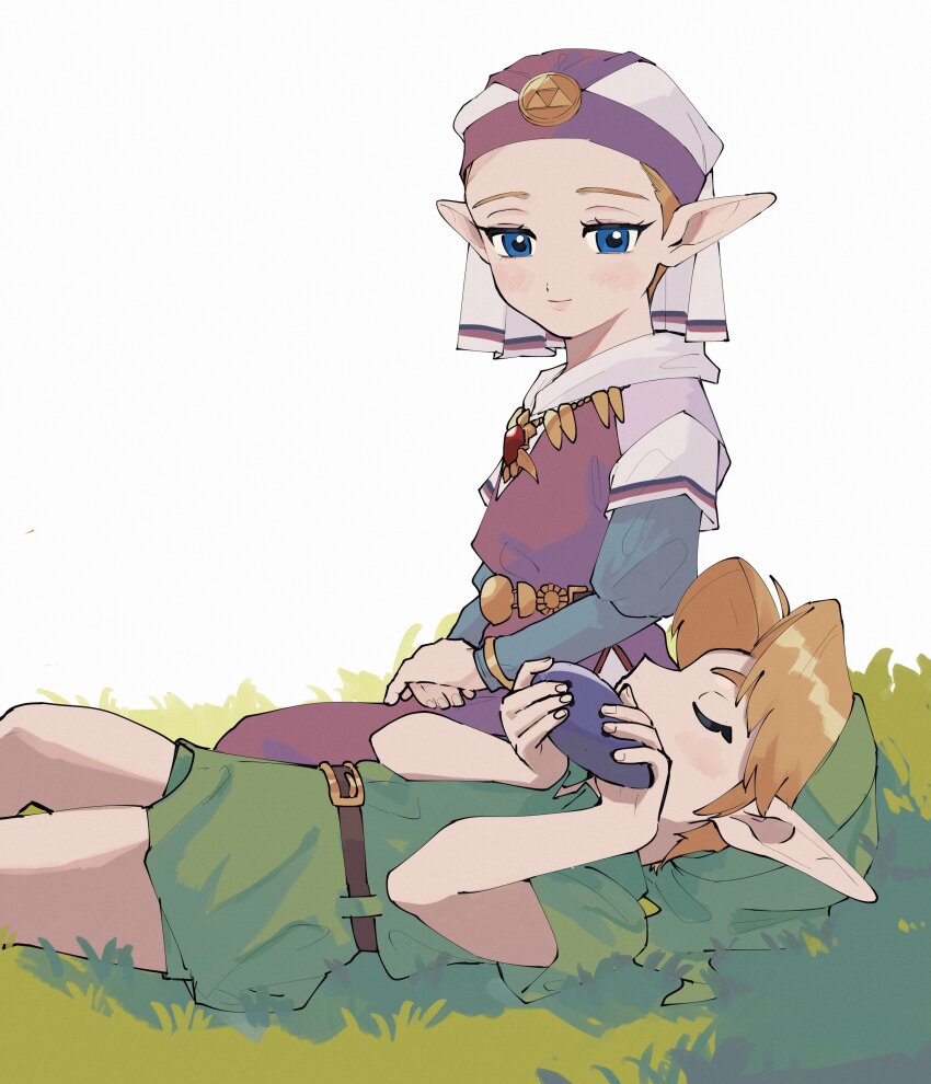 Link (Nintendo) Rule 34 Image