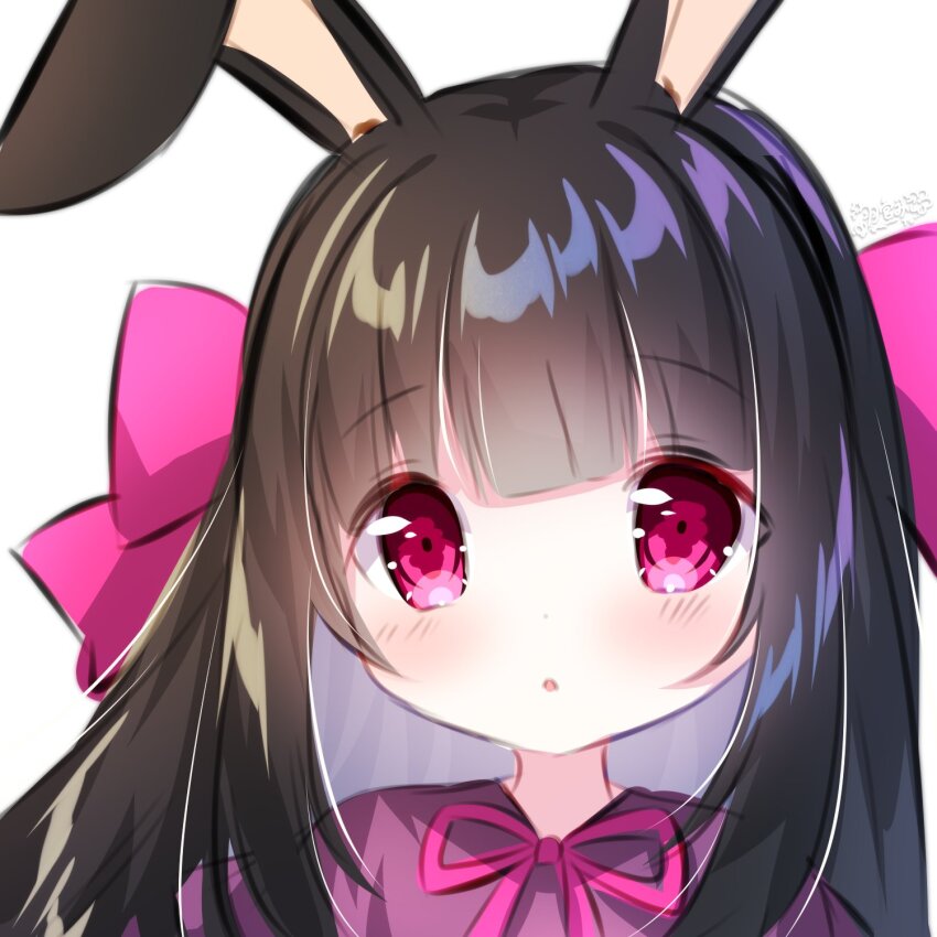 Rabbit And Steel Rule 34 Image