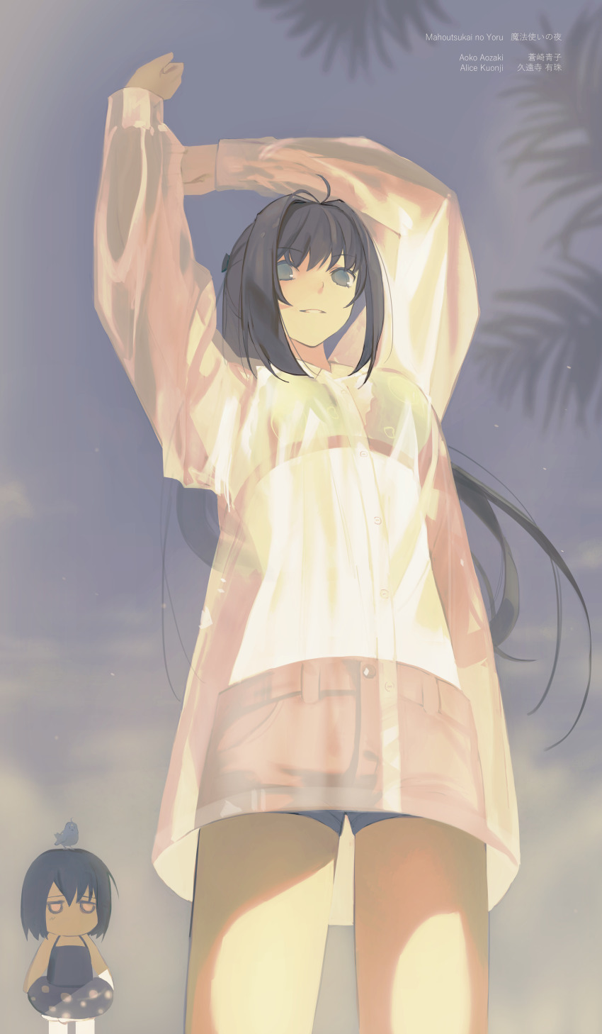 Aozaki Aoko (Mahou Tsukai No Yoru) Rule 34 Image