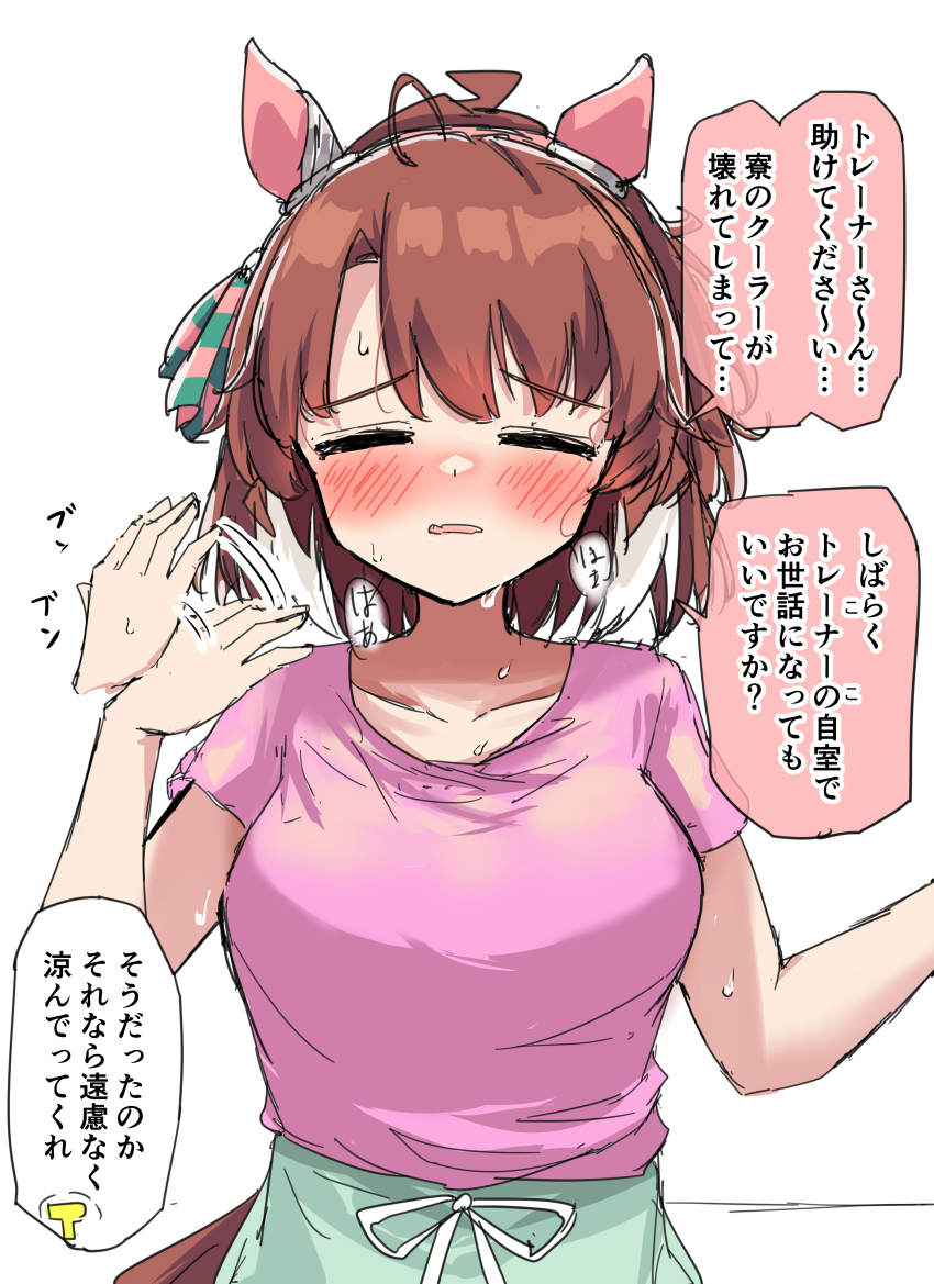 Dantsu Flame (Umamusume) Rule 34 Image