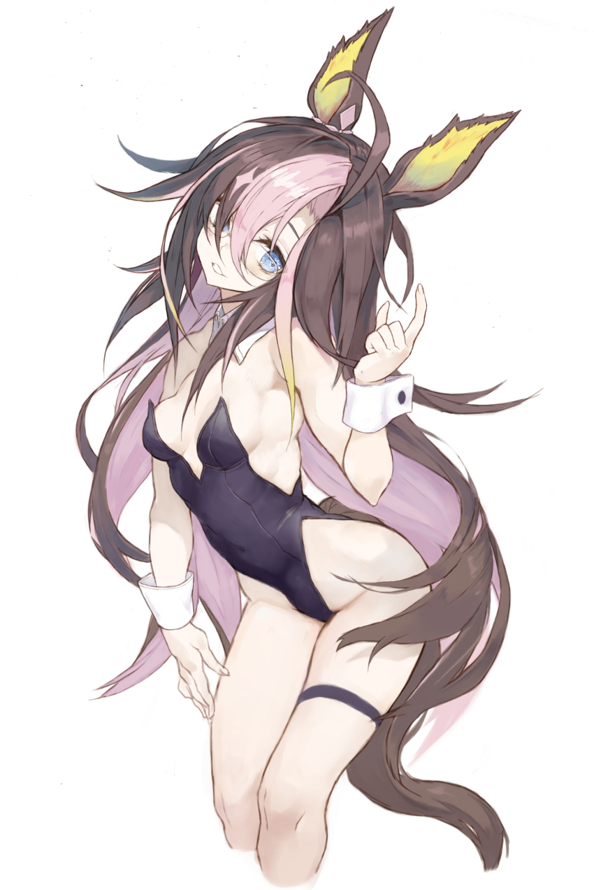 Dream Journey (Umamusume) Rule 34 Image