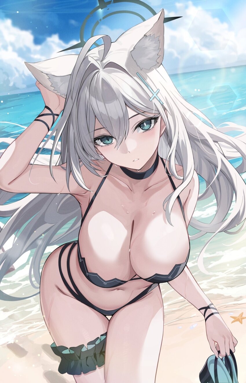 Shiroko Terror (Blue Archive) Rule 34 Image