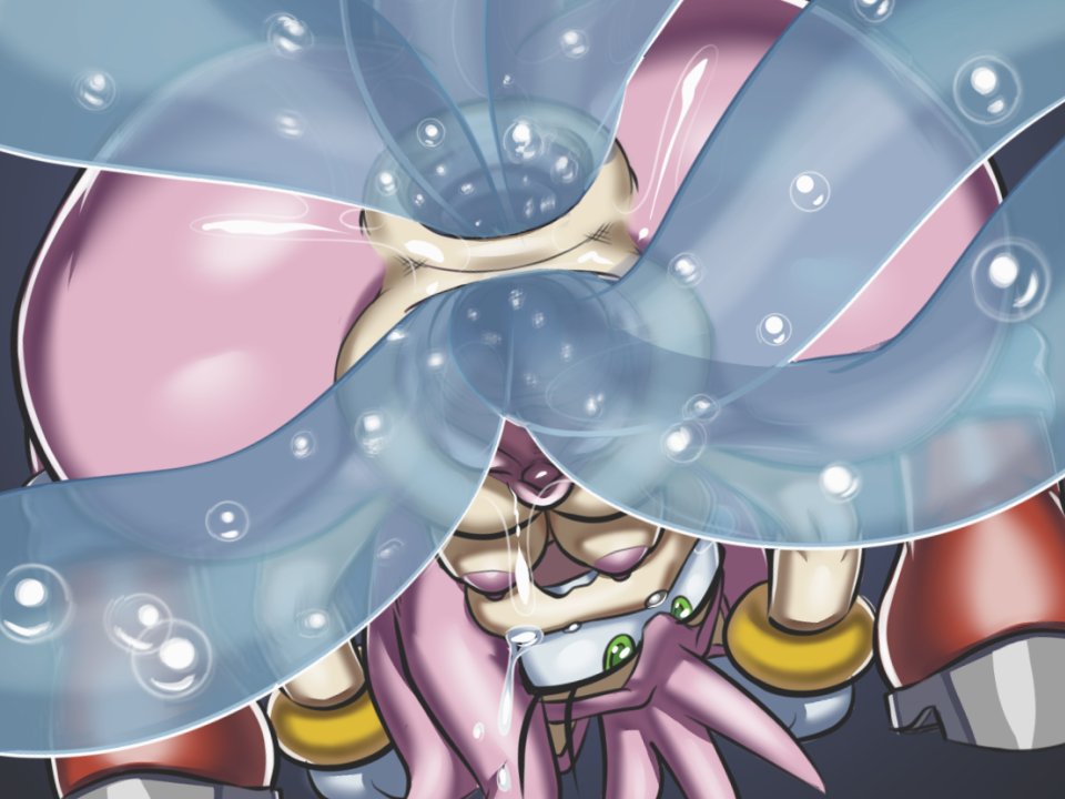 Amy Rose (Sonic (Series)) Rule 34 Image