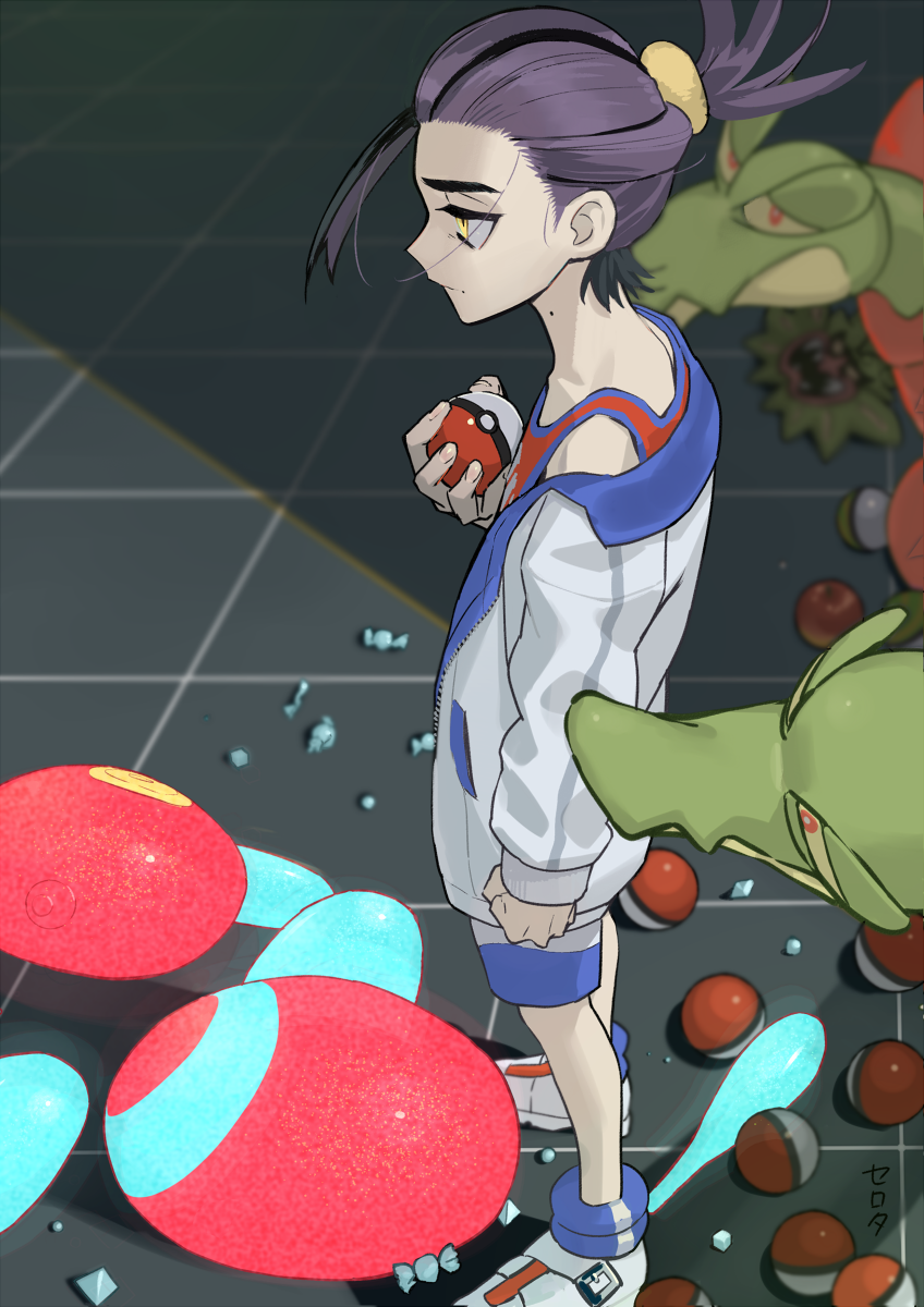Gen 4 Pokemon (Nintendo) Rule 34 Image