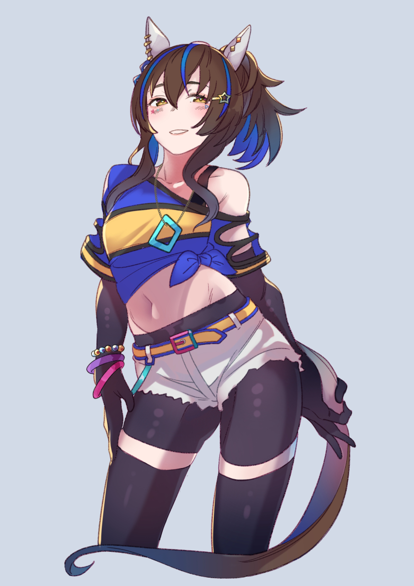Daitaku Helios (Fun Fun Party Night) (Umamusume) Rule 34 Image