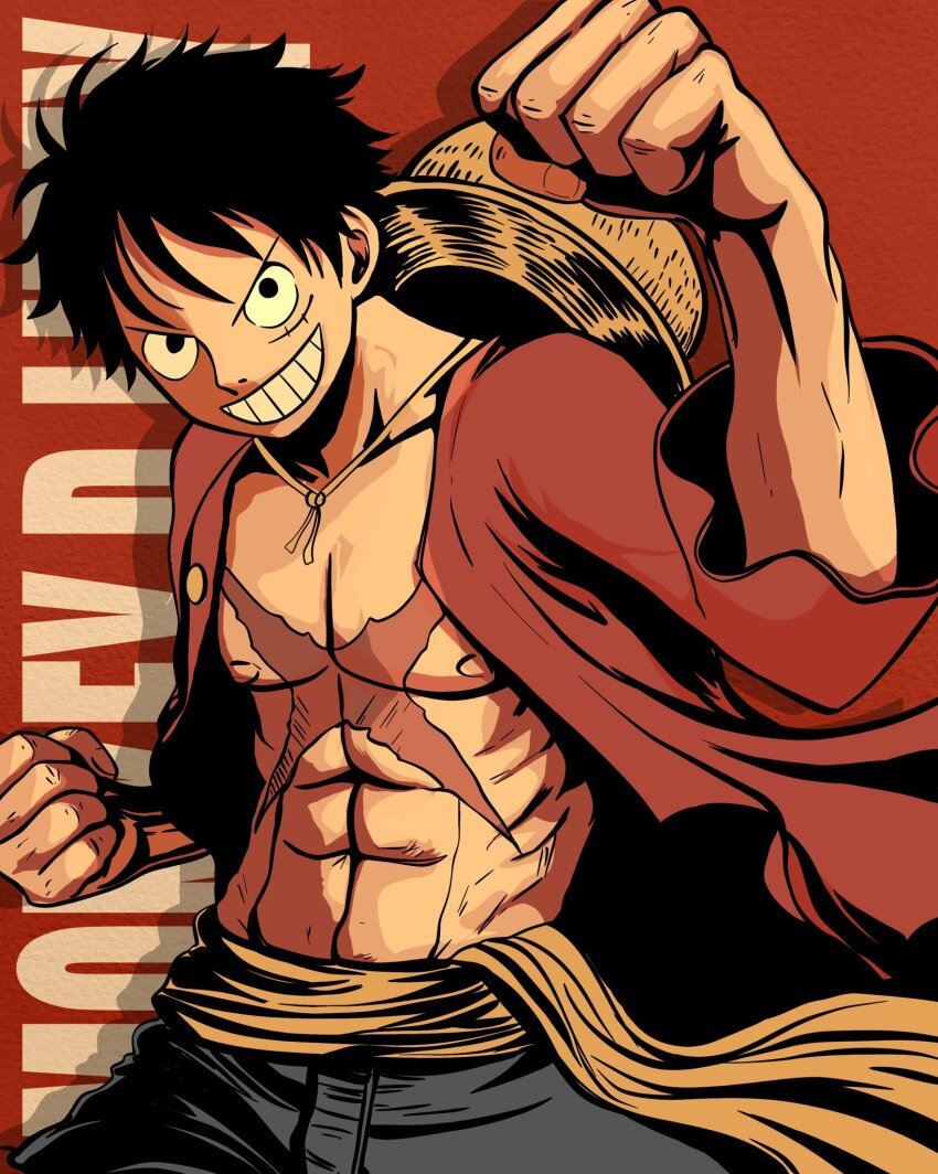 Monkey D. Luffy Rule 34 Image
