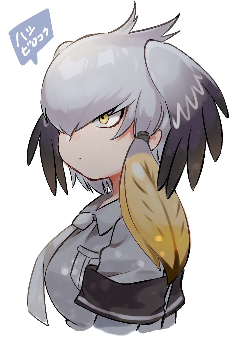 Shoebill (Kemono Friends) Rule 34 Image