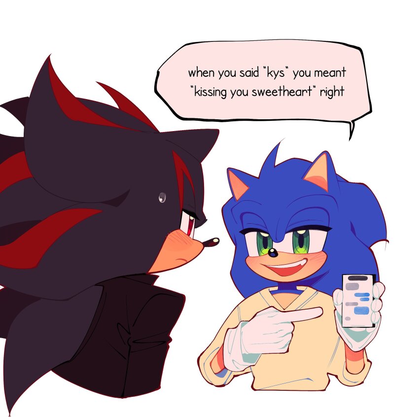 Shadow The Hedgehog (Sonic (Series)) Rule 34 Image