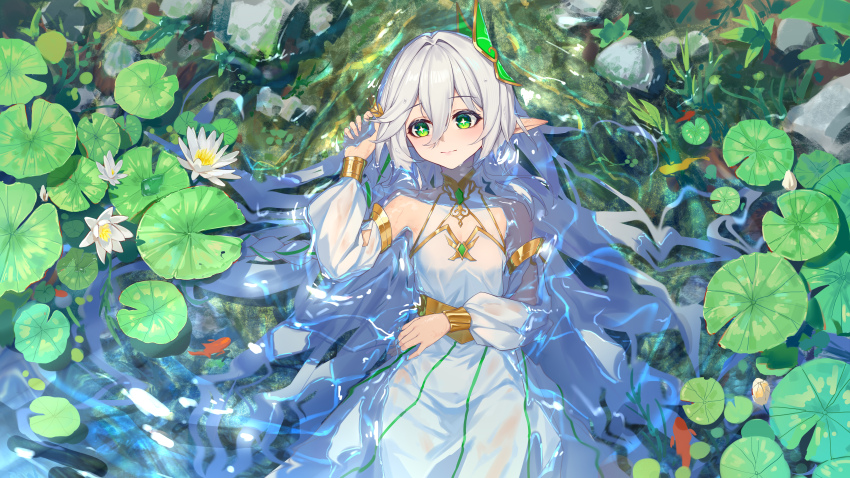 Rukkhadevata (Genshin Impact) Rule 34 Image