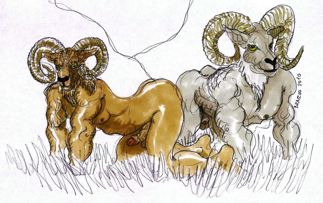 2010 Rule 34 Image