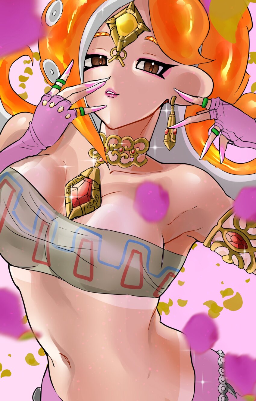 Nabooru (Nintendo) Rule 34 Image