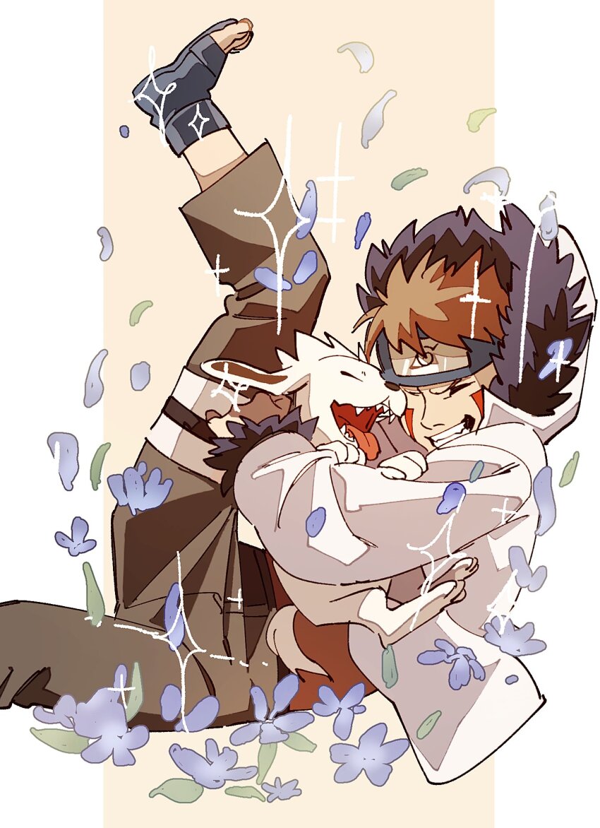 Akamaru (Naruto) Rule 34 Image