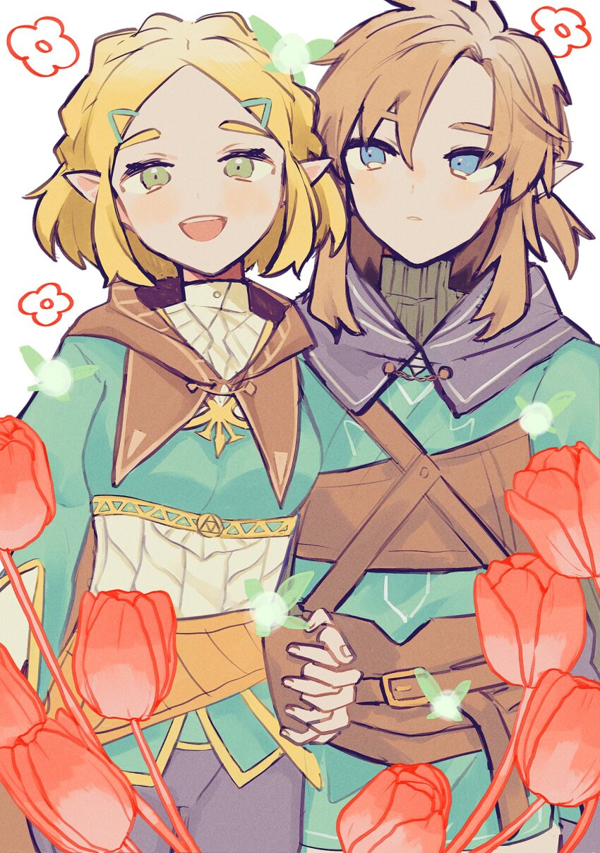Link (Nintendo) Rule 34 Image