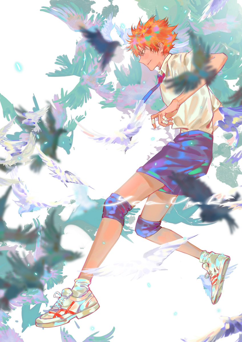 Hinata Shouyou (Haikyuu!!) Rule 34 Image