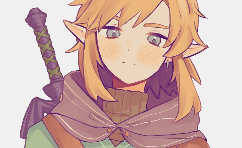 Link (Nintendo) Rule 34 Image