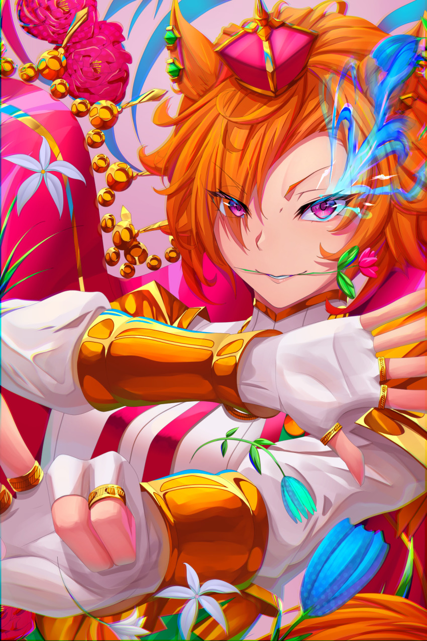 T.M. Opera O (Umamusume) Rule 34 Image