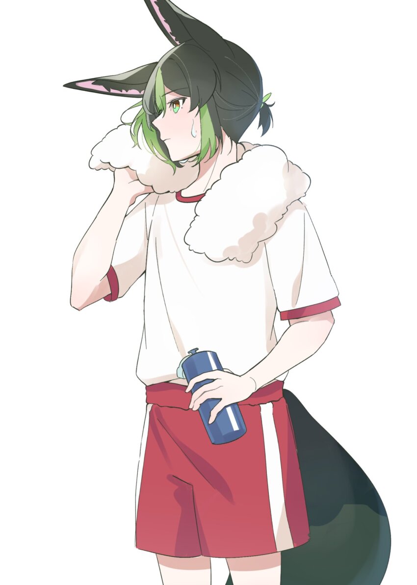 Tighnari (Genshin Impact) Rule 34 Image
